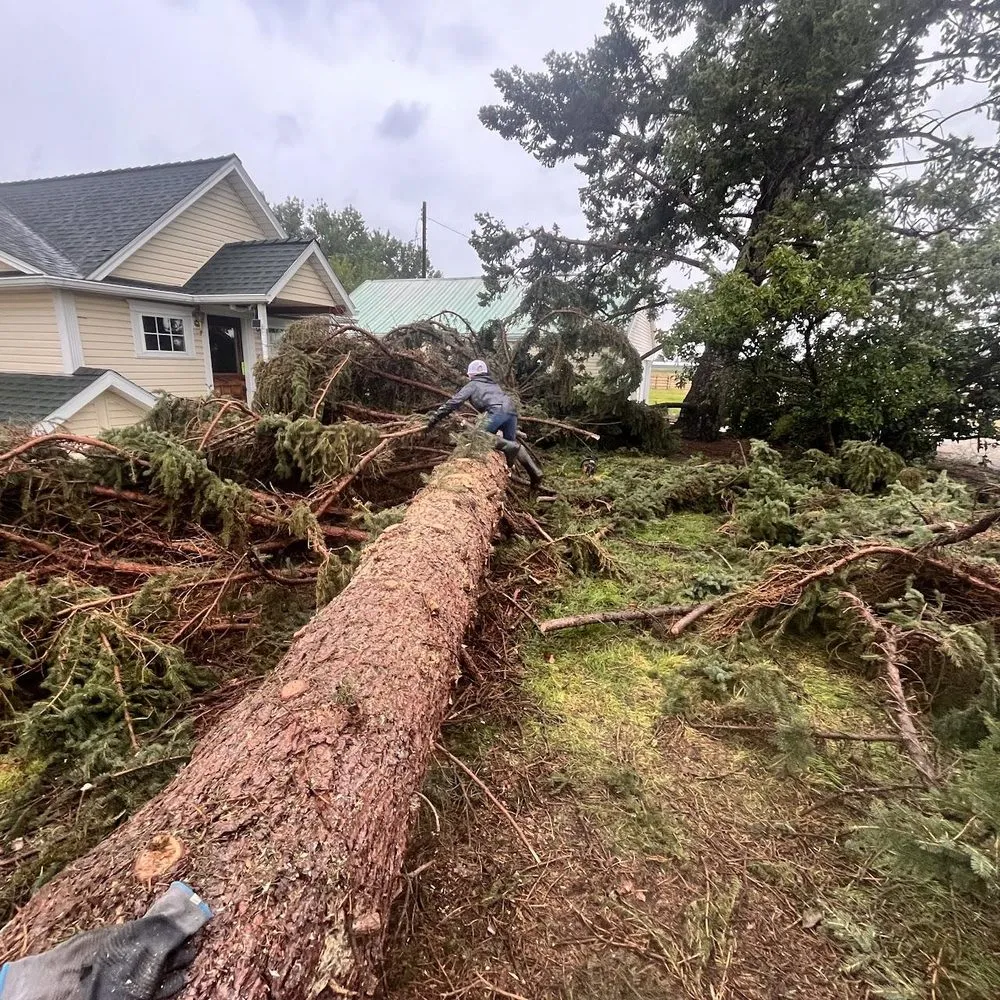 Affordable landscape design near you in Stevensville, MT by 406 Lawnzz