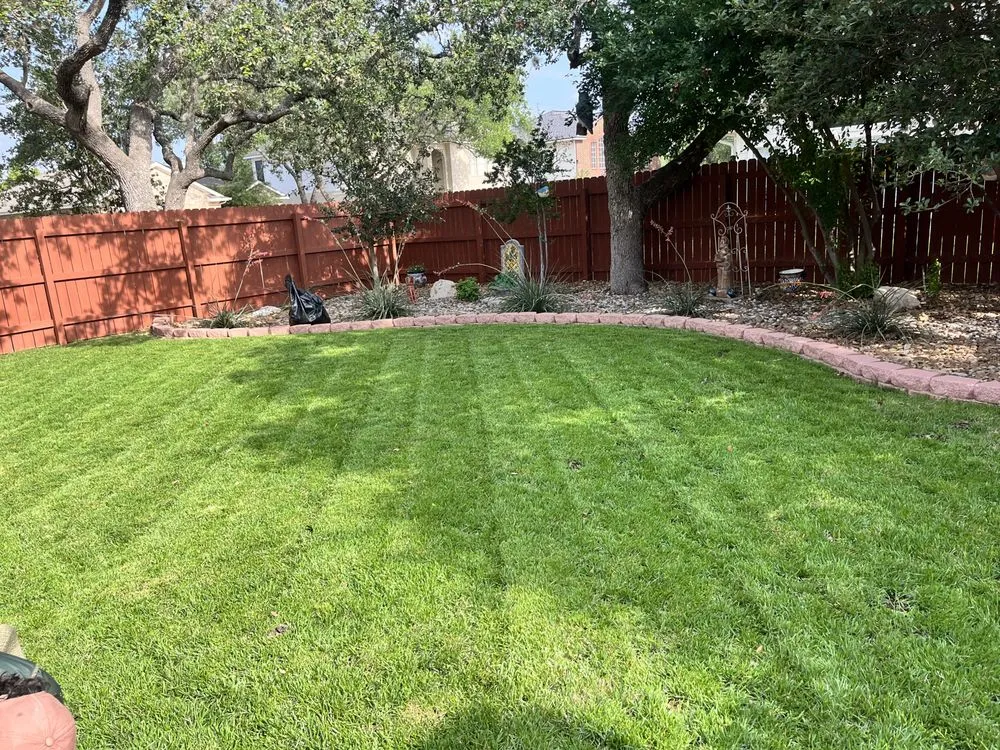 Expert lawn mowing service in San Antonio, TX by 408 Lawn Care