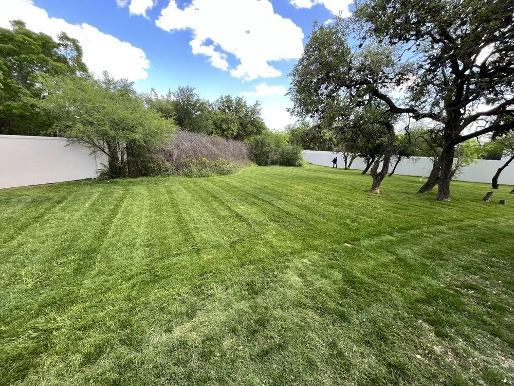 Reliable residential landscaping in San Antonio, TX by 408 Lawn Care