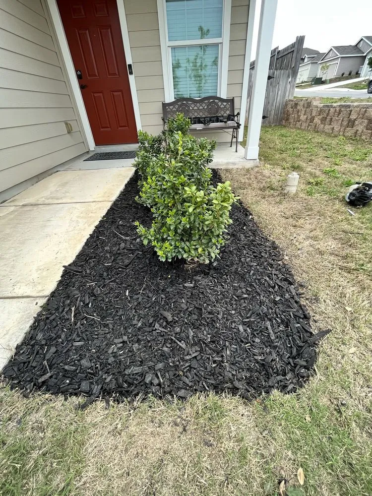 Top-rated lawn mowing service experts serving San Antonio, TX - 408 Lawn Care