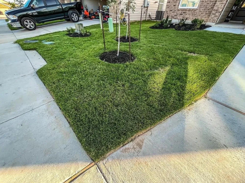 Expert yard cleanup service for year-round maintenance in San Antonio, TX by 408 Lawn Care