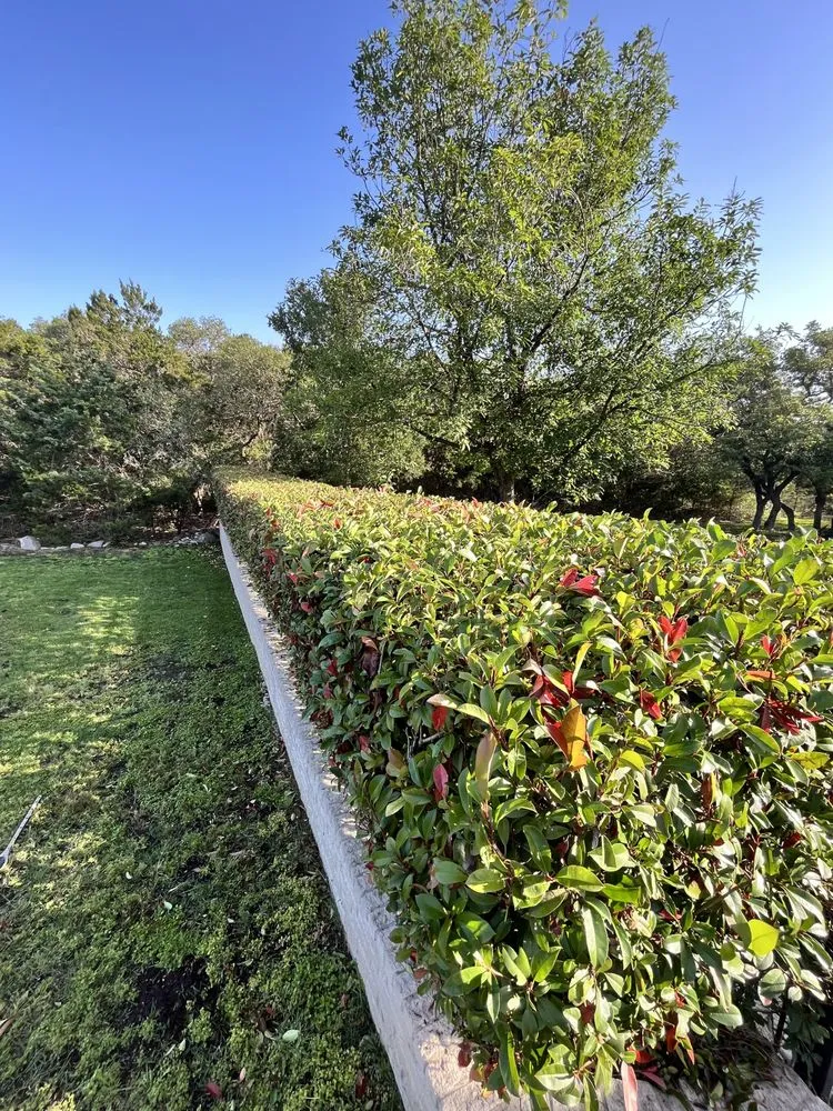 Local yard maintenance experts serving San Antonio, TX - 408 Lawn Care