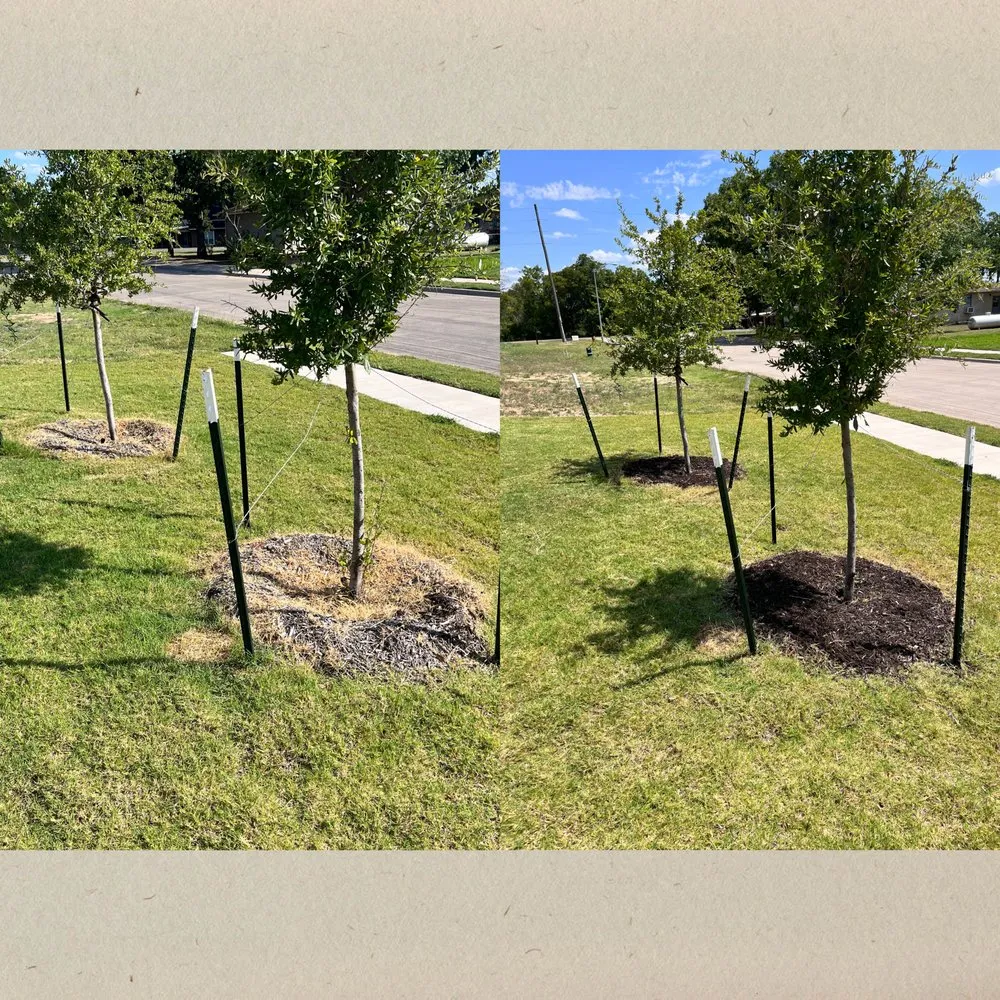 Professional outdoor landscaping experts serving San Antonio, TX - 408 Lawn Care