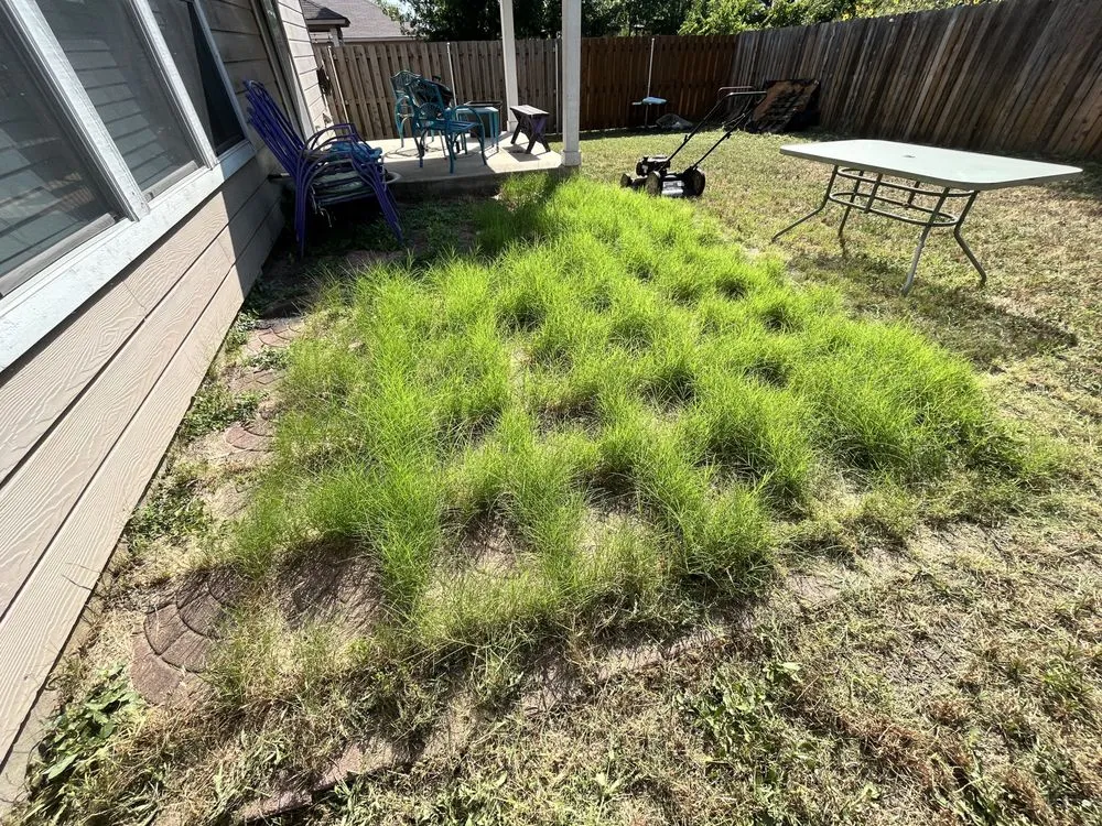 Reliable lawn care service in San Antonio, TX - 408 Lawn Care