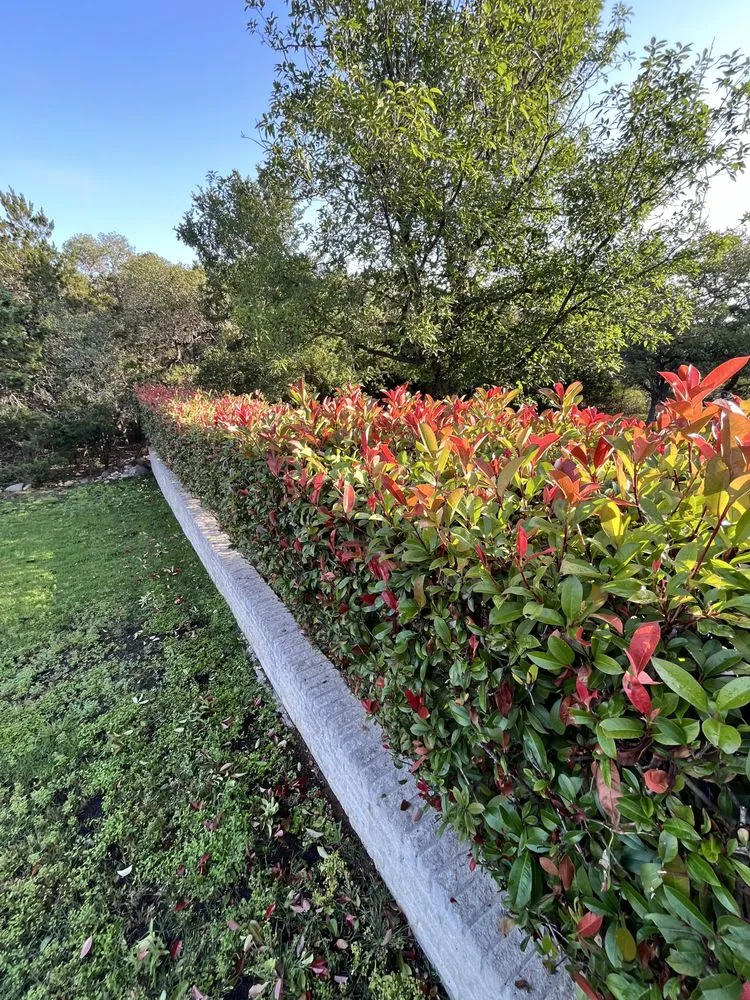 Local lawn mowing service in San Antonio, TX by 408 Lawn Care