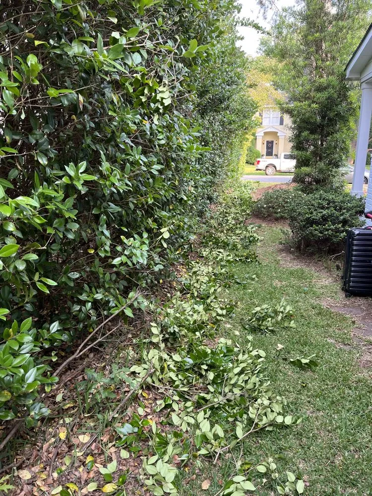 Local garden landscaping near you in Macon, GA by 41 Mowing Company