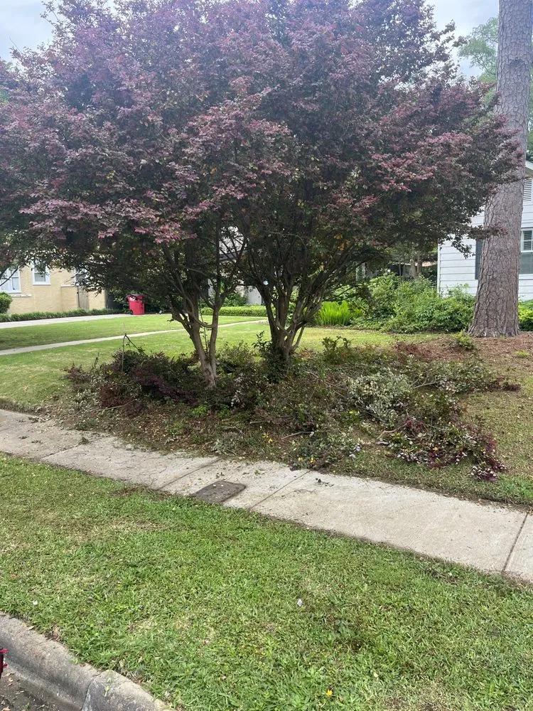 Custom lawn care service in Macon, GA - 41 Mowing Company