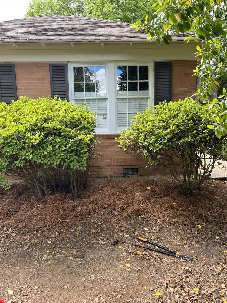 Trusted outdoor landscaping experts serving Macon, GA - 41 Mowing Company