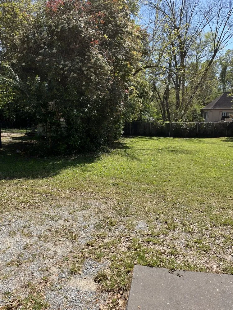 Professional outdoor landscaping in Macon, GA - 41 Mowing Company