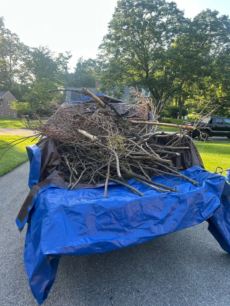 Local landscape installation in Ellicott City, MD - 410 Odd Jobs