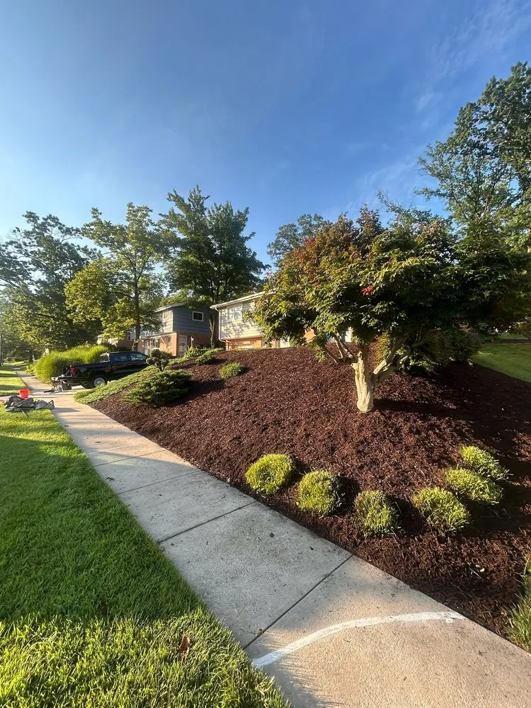 Reliable landscape installation for year-round maintenance across Ellicott City, MD - 410 Odd Jobs