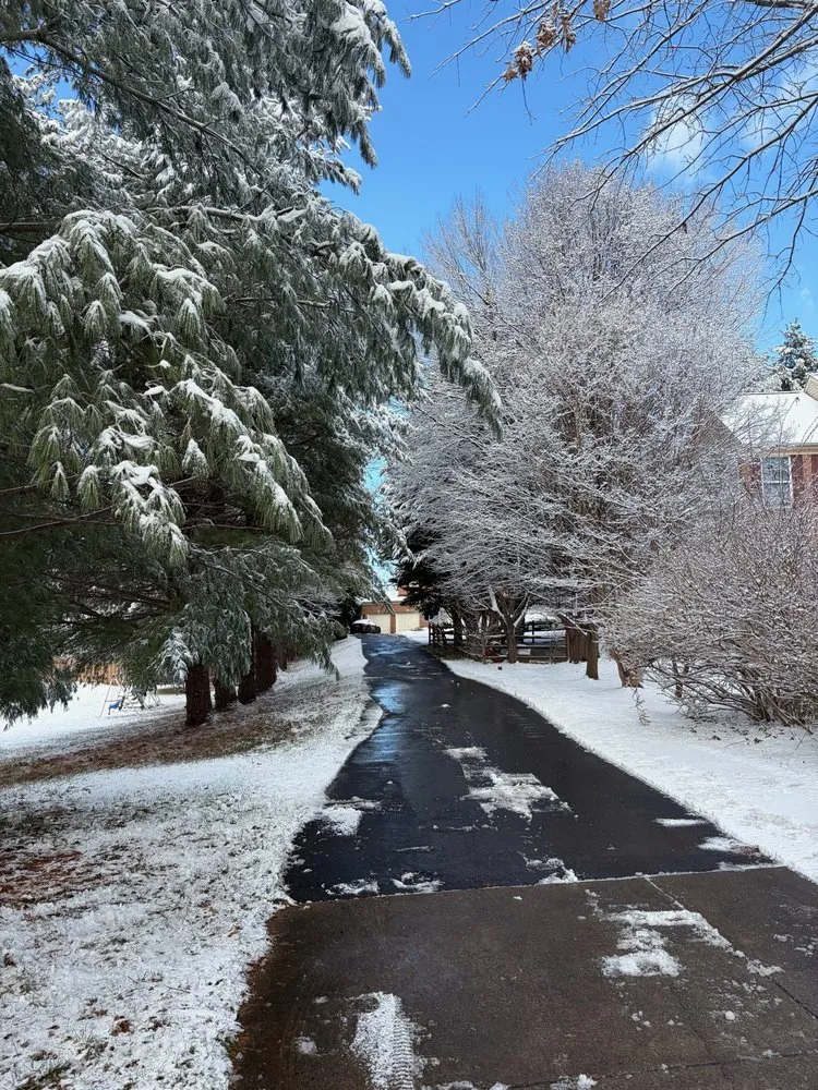 Local yard maintenance for residential properties across Ellicott City, MD - 410 Odd Jobs