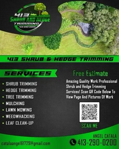 Custom outdoor landscaping experts serving Springfield, MA - 413 Shrub & Hedge Trimming