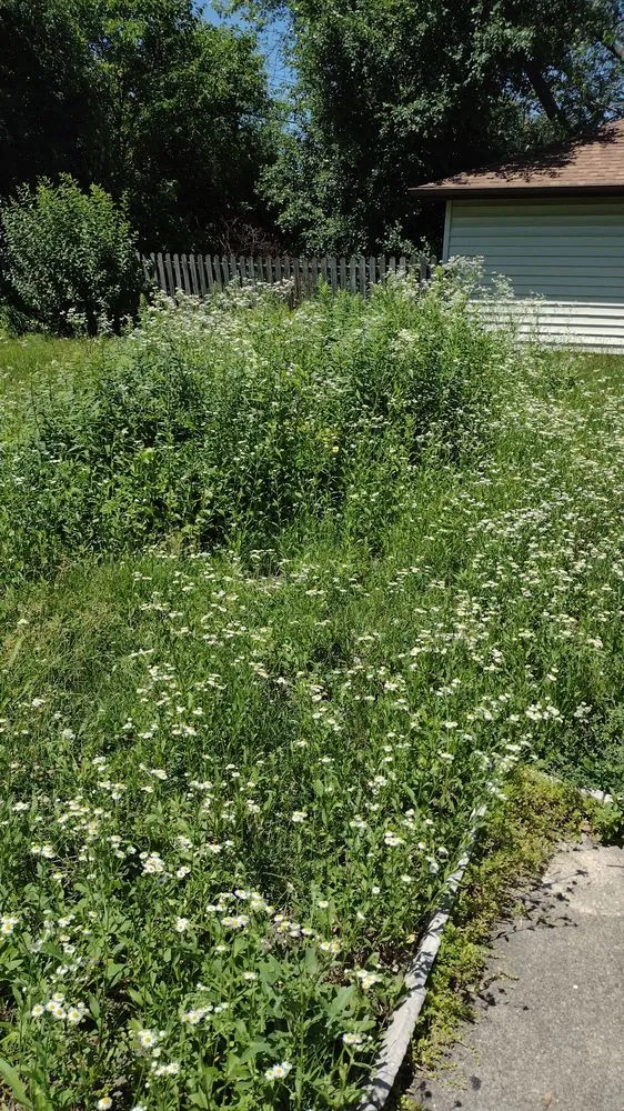 Professional lawn mowing service in Milwaukee, WI by 414 You Invest Services Group