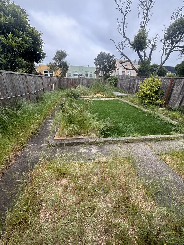 Expert yard cleanup service for homes in San Francisco, CA by 415 Landscaping