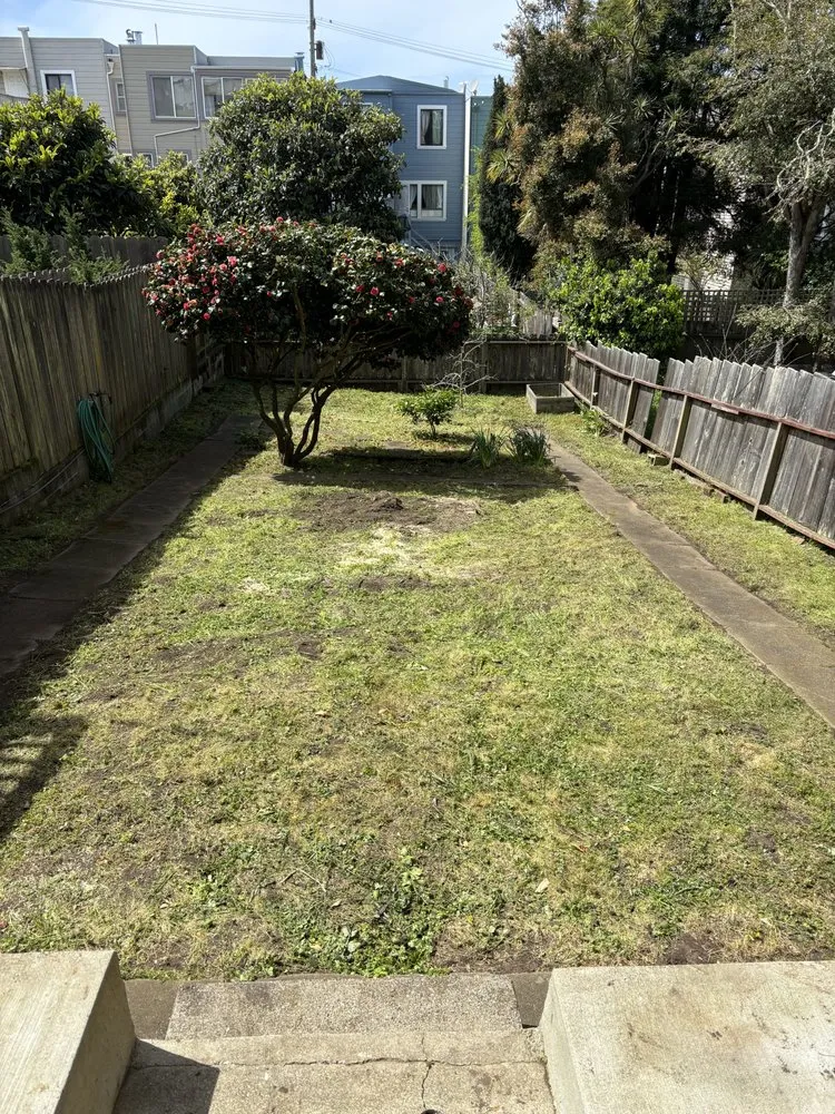 Affordable landscaping services in San Francisco, CA by 415 Landscaping