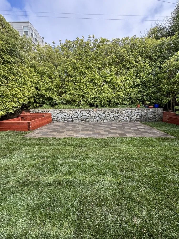 Expert landscape design in San Francisco, CA by 415 Landscaping