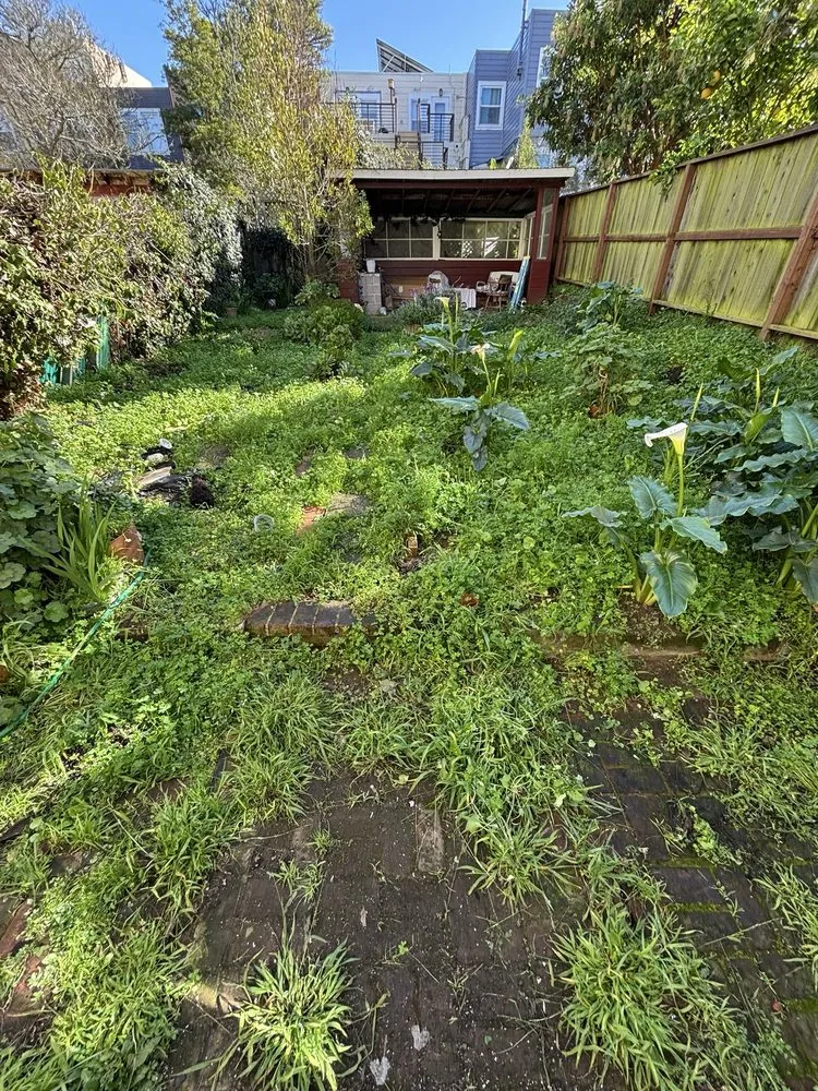 Trusted lawn care service for beautiful yards across San Francisco, CA - 415 Landscaping