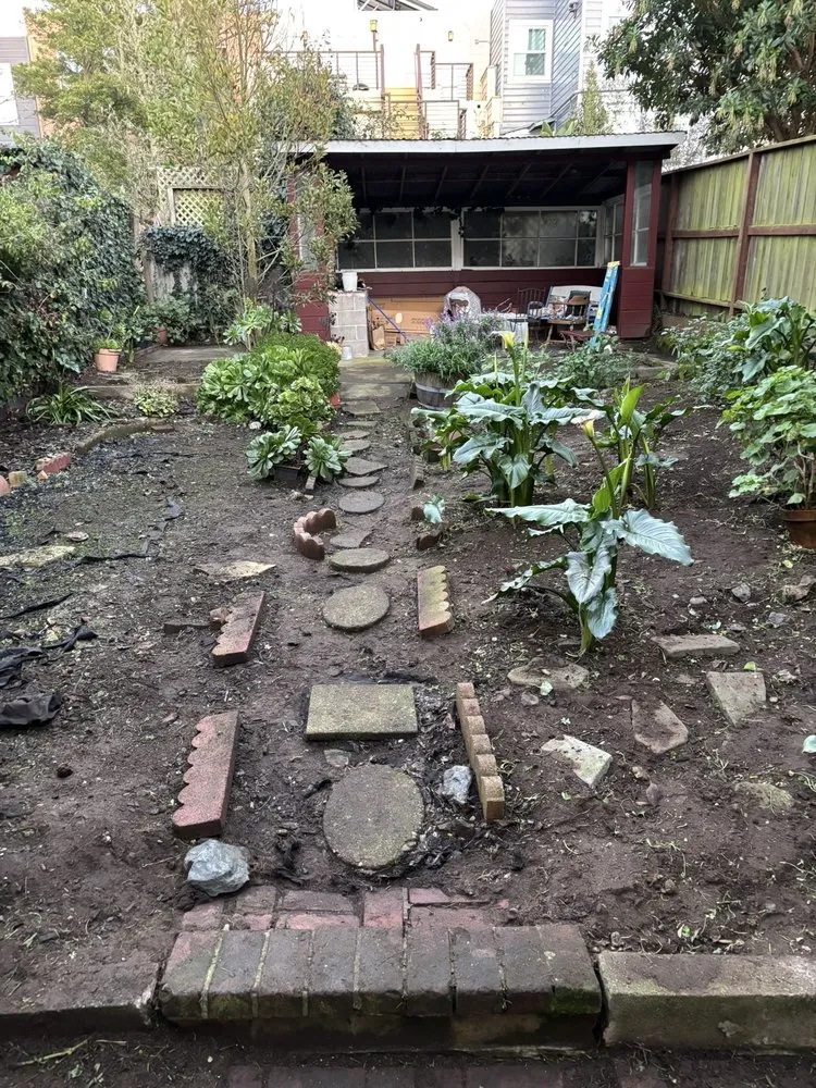 Reliable lawn care service for outdoor upgrades across San Francisco, CA - 415 Landscaping