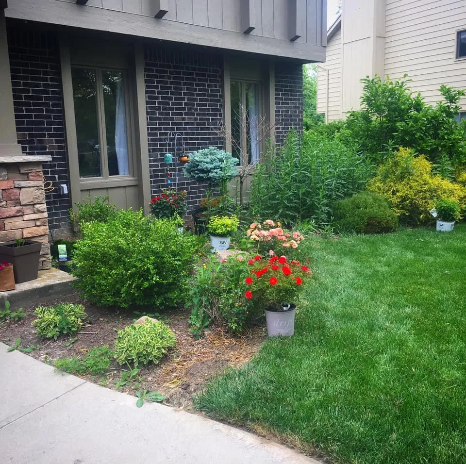 Expert lawn care service experts serving Toledo, OH - 419 Landscape