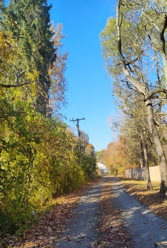 Custom yard cleanup service for residential properties in Monroe, MI by 42 Lawns