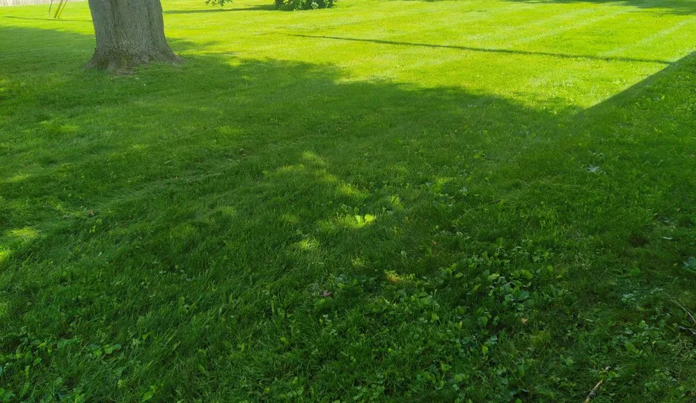 Reliable landscape design in Monroe, MI - 42 Lawns