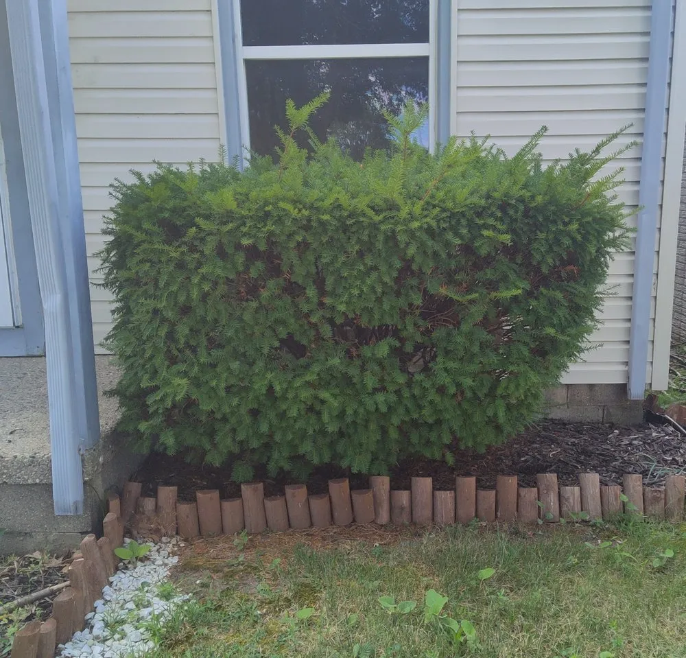 Reliable outdoor landscaping in Monroe, MI - 42 Lawns