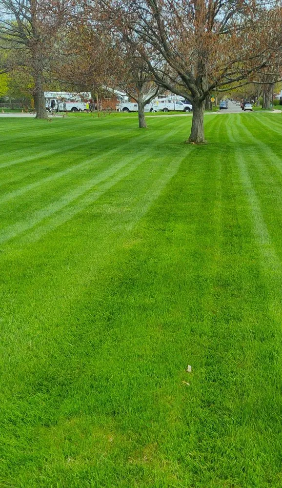 Custom yard maintenance for outdoor upgrades in Monroe, MI by 42 Lawns