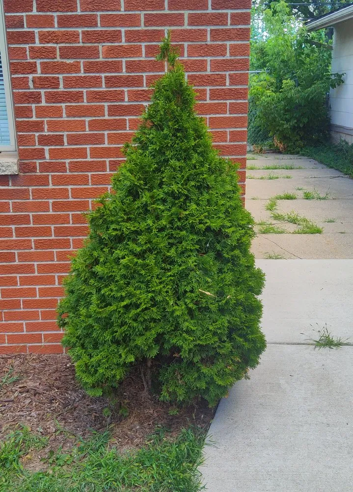 Trusted garden landscaping experts serving Monroe, MI - 42 Lawns