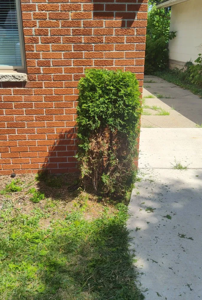 Top-rated outdoor landscaping in Monroe, MI - 42 Lawns