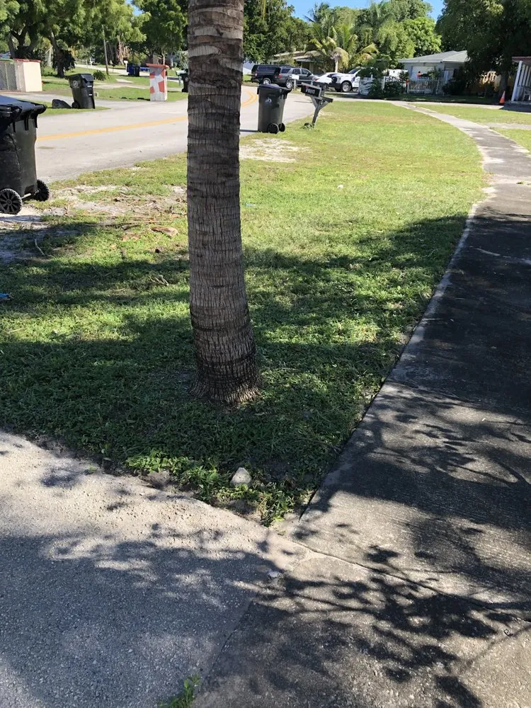 Expert residential landscaping in Margate, FL by 42 MultiService