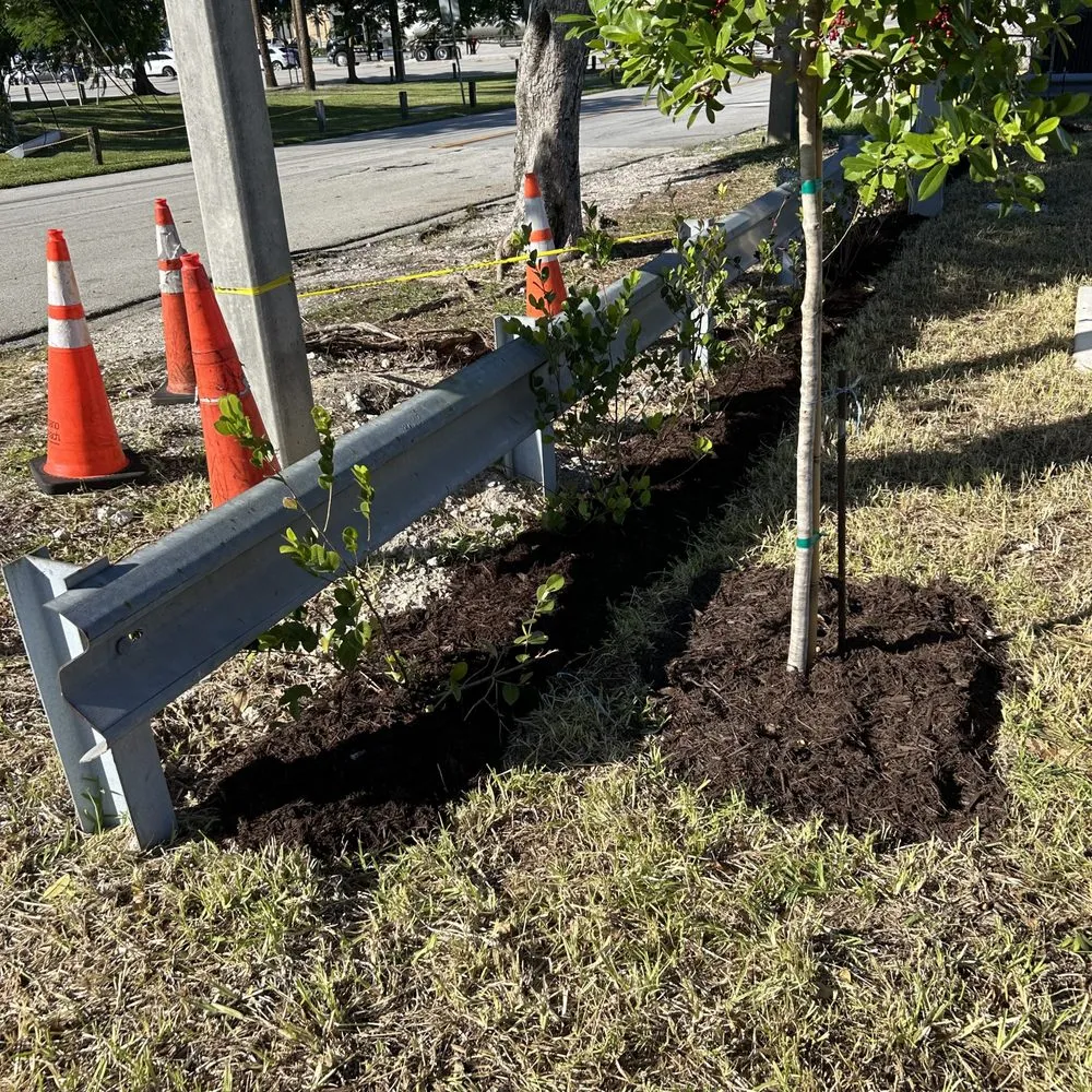 Top-rated residential landscaping experts serving Margate, FL - 42 MultiService