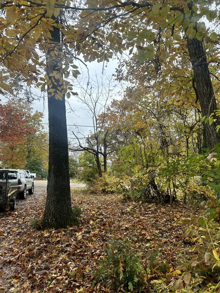 Reliable outdoor landscaping for beautiful yards in Afton, TN by 423 Lawn and Landscape
