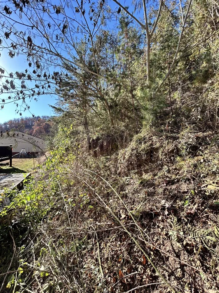 Custom yard maintenance in Afton, TN by 423 Lawn and Landscape