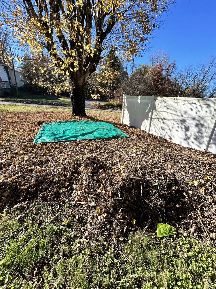 Expert residential landscaping in Afton, TN by 423 Lawn and Landscape