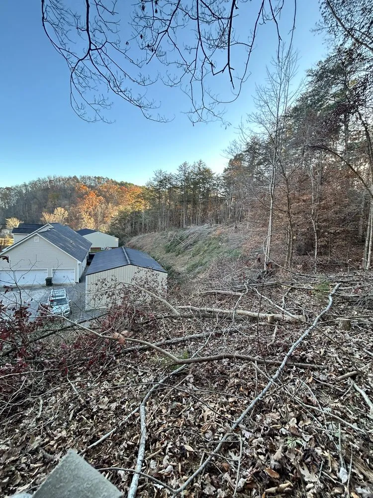 Local landscape installation for year-round maintenance in Afton, TN by 423 Lawn and Landscape
