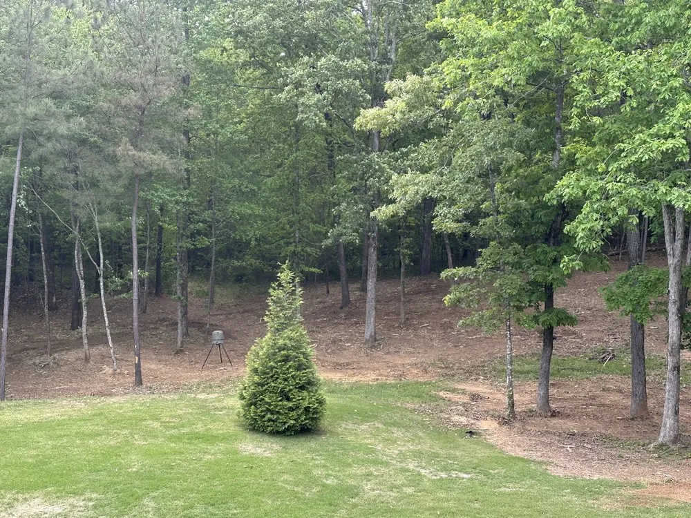 Professional garden landscaping near you in McCalla, AL by 44 Land Management
