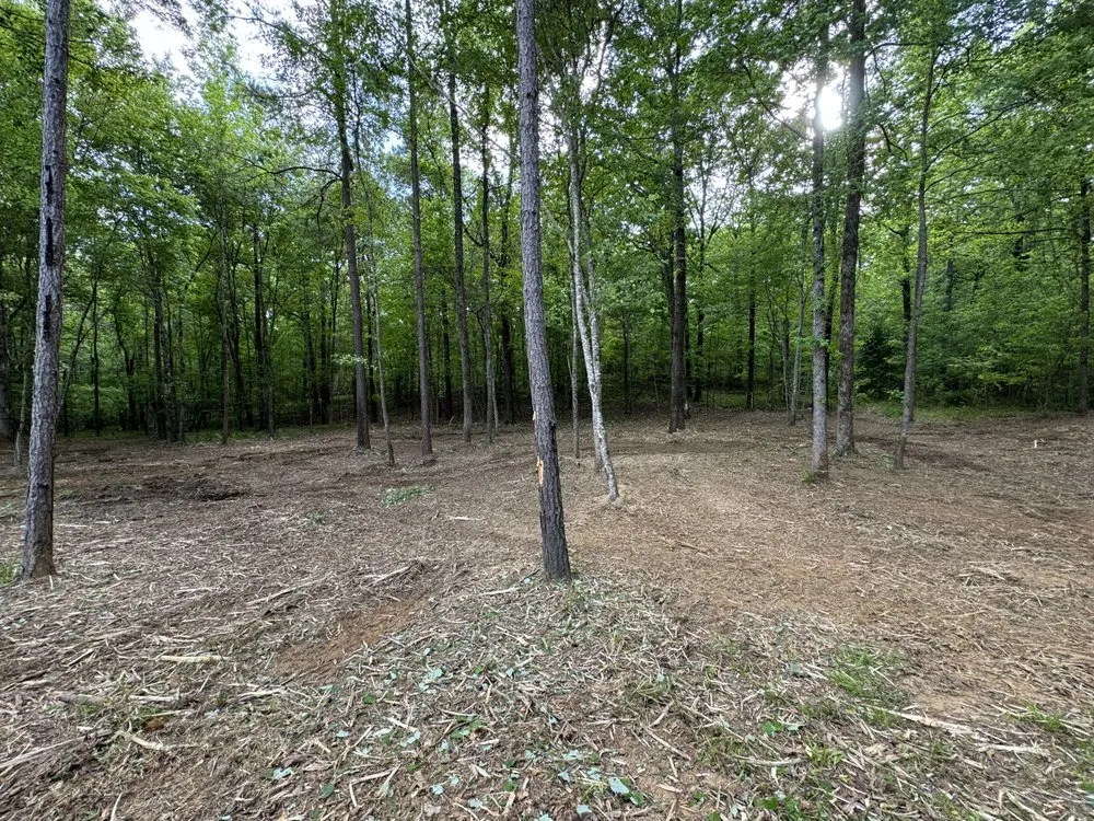 Reliable lawn mowing service with custom design in McCalla, AL by 44 Land Management