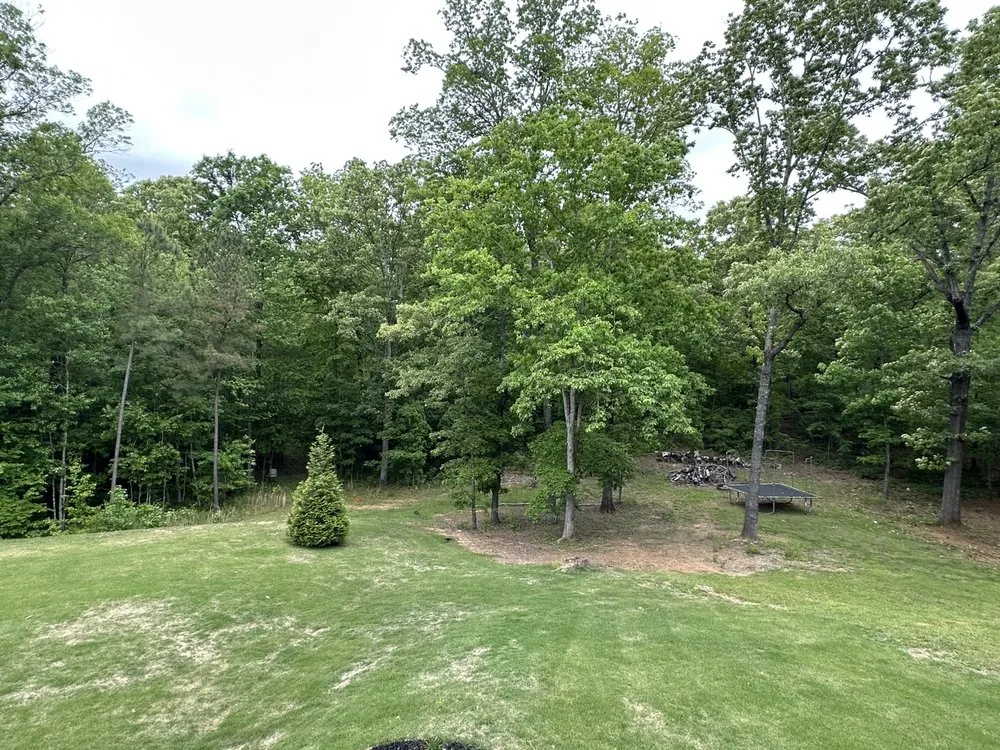 Reliable lawn care service for beautiful yards across McCalla, AL - 44 Land Management