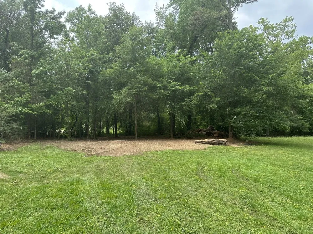 Expert yard cleanup service for homes across McCalla, AL - 44 Land Management