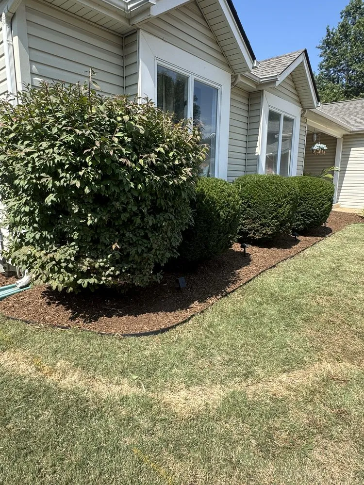 Top-rated landscaping services experts serving Saint Louis, MO - 444 Lawns