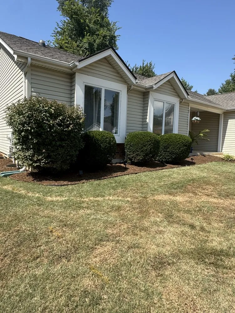 Expert yard cleanup service for residential properties across Saint Louis, MO - 444 Lawns