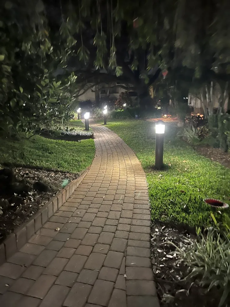 Professional yard cleanup service near you across Davenport, FL - 46-5164427