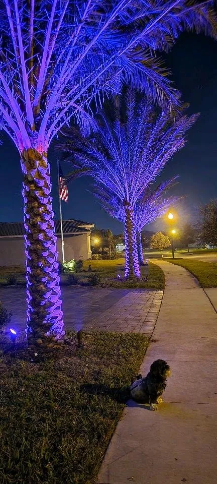 Expert landscape installation in Davenport, FL - 46-5164427