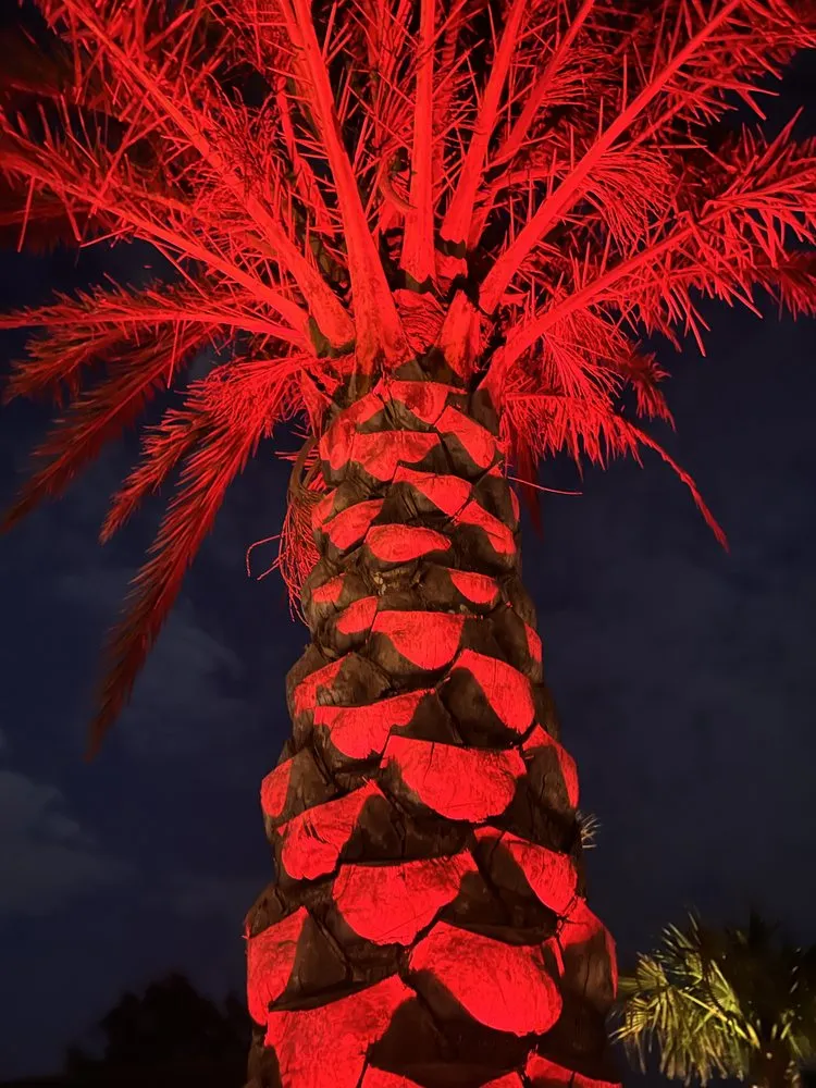 Professional outdoor landscaping in Davenport, FL by 46-5164427