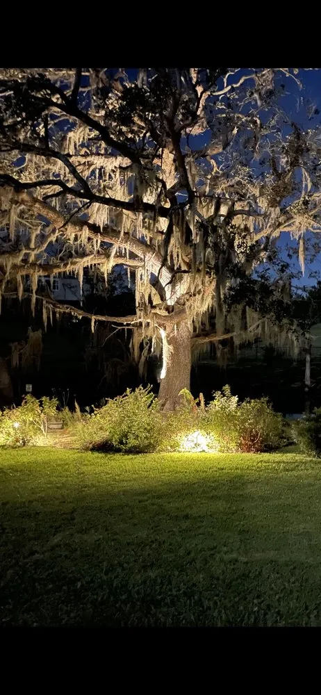 Reliable landscape installation in Davenport, FL - 46-5164427