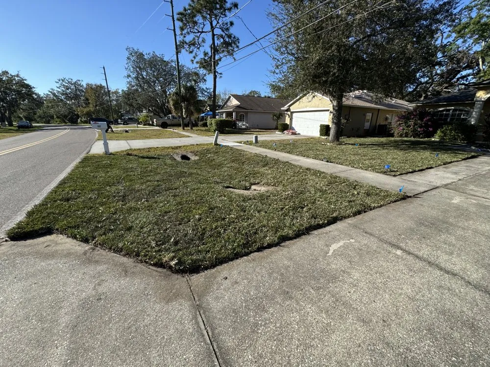 Custom landscaping services for homes in Largo, FL by 481-LAWN