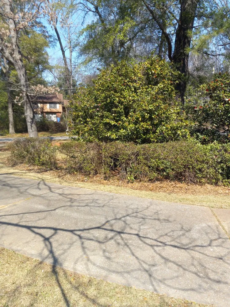 Top-rated landscaping services near you across Prattville, AL - 4A Enterprises