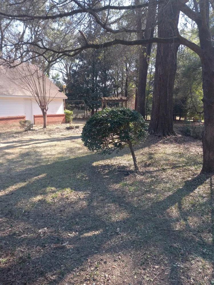 Reliable landscaping services for residential properties across Prattville, AL - 4A Enterprises