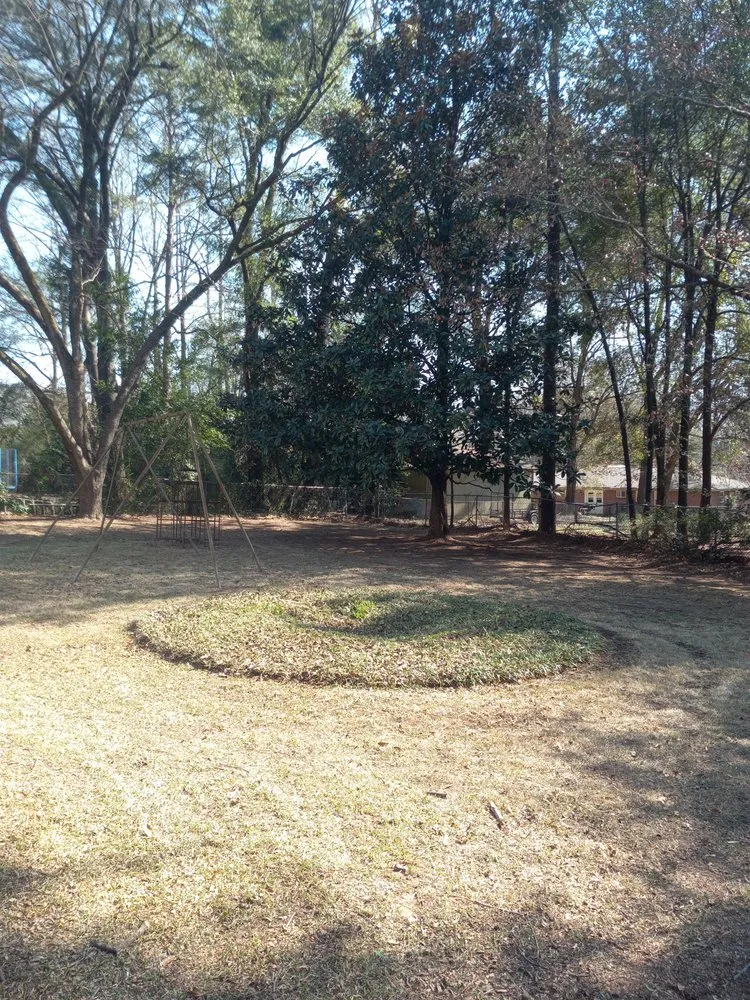 Reliable yard cleanup service in Prattville, AL by 4A Enterprises